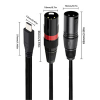 Cable Adaptador USB C a Doble XLR Macho con Blindaje Trenzado y Revestimiento de PVC de 1m de Longitud para Smartphones/Laptops