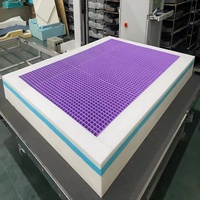 Matelas en mousse TPE moderne OEM/ODM, rafraîchissant, hypoallergénique, avec housse amovible, pour usage scolaire et hospitalier, confort amélioré