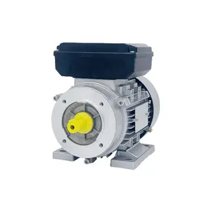 ML Single-Phase Electric Motors 1HP to 5.5HP 110/220V to 220-440V Totally Enclosed Monofasico Monophase Motor