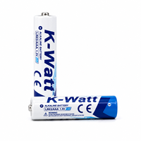 Baterai Ultra Alkaline Aaa LR03 AM-4 Baterai Primer 1.5V Alkaline Baterai Grosir Pabrik dengan CE KC