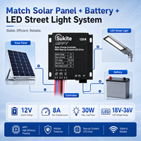 Contrôleur solaire MPPT professionnel Sukite 1230M 12V 8A 30W pour éclairage public, énergie solaire, projet d'éclairage extérieur