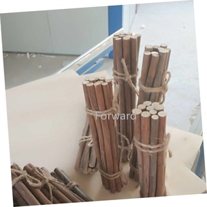 Legno di Paulownia a secco bastoncini rami per oggetti di scena per la fotografia di artigianato fai da te - Product Image 4