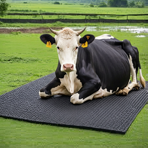 Durable Cow Barn <b>Rubber</b> <b>Mat</b> Anti Slip Dairy Cattle Stall Flooring <b>Heavy</b> <b>Duty</b> Livestock Farm Floor <b>Mat</b> - Product Image 4