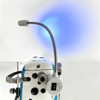 Mini lampe de travail LED magnétique pour machine à coudre, couleur violette, idéale pour l'industrie et les usines de chaussures