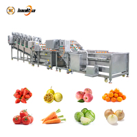 Industriële fruit- en groentewasmachines, ui-wasmachine zonder schade, drooglijn voor verse mango's