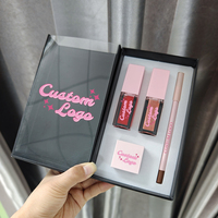 Brillant à lèvres liquide 4 en 1 de marque privée, kit de crayons à lèvres, vente en gros de luxe, ensembles de taille-crayons