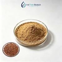 Offre Spéciale : Extrait Naturel de Graines de Radis 20:1, Poudre Fine d'Extrait de Semen Raphani pour Boissons Solides et Traitement Cosmétique