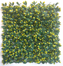 Vente en gros de panneaux muraux en herbe artificielle de haute qualité, 50x50 cm, style classique Yellowhead Holly, plantes décoratives vertes - Product Image 2