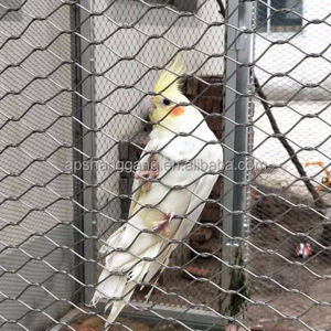 Malla de Alambre Hexagonal Galvanizada Barata de Fábrica, Malla de Alambre para Gallineros, Malla para Cercas, <span class=keywords><strong>Precio</strong></span> de Malla - Product Image 3