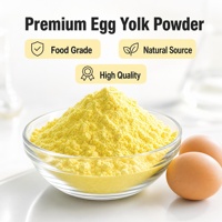 Poudre de jaune d'œuf naturelle pasteurisée séchée par pulvérisation, émulsifiant de qualité supérieure pour sauces mayonnaise et vinaigrettes, saveur riche, vente en gros