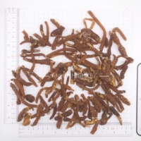 1011 Ginseng Rouge Entier de Haute Qualité en Gros, 120 pièces par 500g, Thé Herbal, Racine de Panax Ginseng Rouge Séchée
