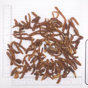 1011 haute qualité en gros 120 pièces par 500g tisane de <span class=keywords><strong>ginseng</strong></span> rouge entier racine de <span class=keywords><strong>ginseng</strong></span> panax rouge séchée - Product Image 3