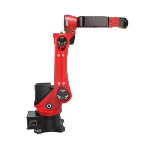 Robot di saldatura Borunte robot collaborativo di alta precisione per la vendita Borunte sei assi braccio robot BRTIRWD1606A