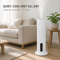 Humidificateur d'air ultrasonique à brume froide électrique de 5 litres avec faible niveau sonore, garantie d'un an pour une utilisation domestique et au bureau