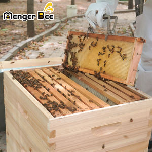 Colmena Langstroth de 10 cuadros con cuadros y bases incluidos - Product Image 4