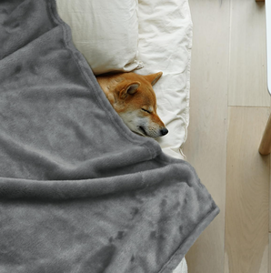 <span class=keywords><strong>Flannel</strong></span> giường chăn tất cả các mùa rắn màu nhà máy Bán buôn giá rẻ <span class=keywords><strong>flannel</strong></span> chăn cho nhà - Product Image 5