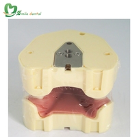 Modelo de Dientes Estándar, Modelo de Dientes Typodont para Estudio