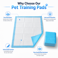 Almohadillas Absorbentes para Perros al por Mayor, de Alta Absorbencia y a Prueba de Fugas, para Entrenamiento de Cachorros, con Superficie Suave No Tejida y Revestimiento de PE
