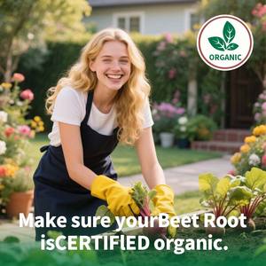 OEM nhà máy Hữu Cơ củ cải gốc viên nang cho người lớn tăng cường hấp thụ cao sức mạnh củ cải chiết xuất hạt tiêu đen chiết xuất viên nang - Product Image 5