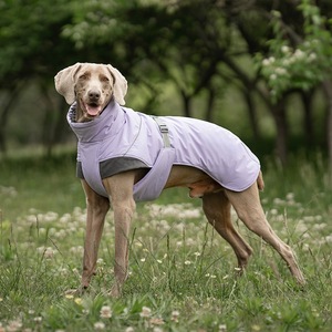 Ropa para Perros, Chalecos para Razas Medianas y Grandes, Otoño Invierno, Cálidos, Resistentes al Viento, Acolchados de Algodón, Color Morado y Verde, Poliéster - Product Image 2