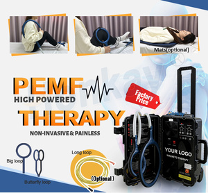 Appareil de massage PEMF le mieux noté pour soulager les douleurs musculaires, dispositif à double commande, directement de l'usine, pour usage personnel et équin - Product Image 2