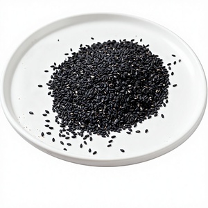 Poudre de sésame noir cru séché FD certifiée Halal - Riche en calcium et en protéines, aliment naturel de variété ANISE, prêt à consommer - Product Image 1