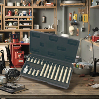 AE-S5617 17 pièces jeu d'embouts de douille de tournevis cannelés CR-V outils de réparation automatique de bits Torx hexagonaux supplémentaires pour l'industrie des machines
