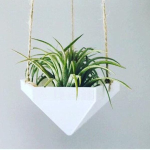 Jardinière suspendue artisanale |   Support pour plantes aériennes - Product Image 1