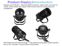 Projecteur LED COB Zoom Blanc IP65 Étanche 200W 250W 300W avec DMX512 pour Fêtes en Plein Air, DJ, Parcs à Thème, Émission Blanche