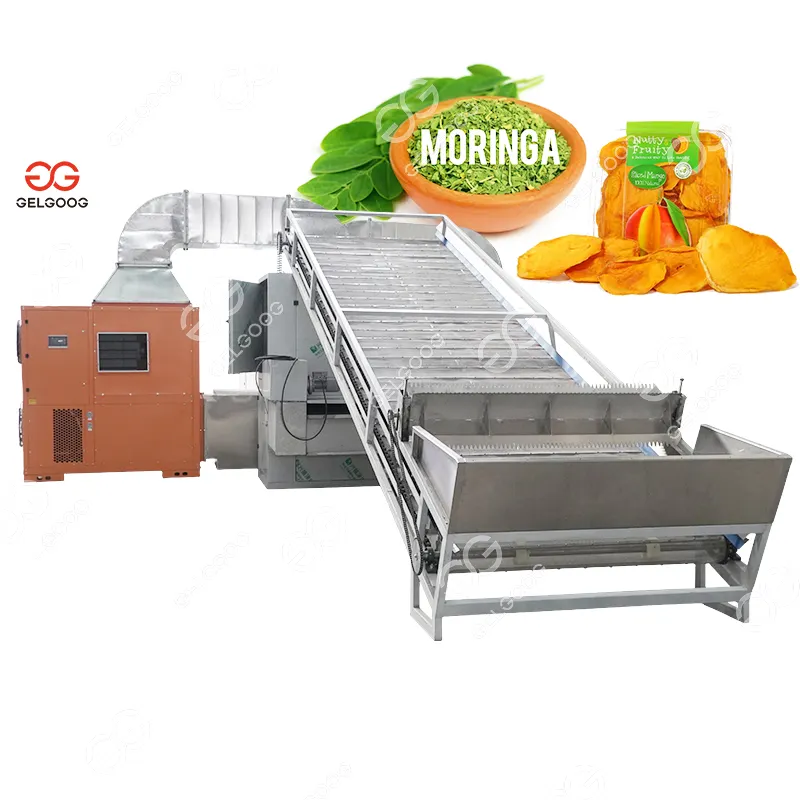 Secador de hojas de moringana, máquina de deshidratación de plantas y frutas para hojas de Moringa, túnel transportador