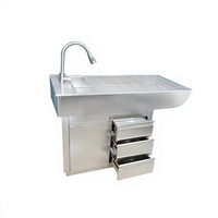 Table de traitement multifonctionnelle en acier inoxydable 304 pour chats et chiens - Table chirurgicale/irrigation/dissection/toilettage