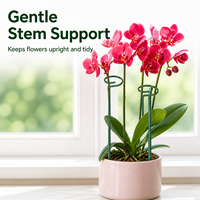 Supports de plantes en métal réutilisables, résistants à la corrosion, pour plantes en pot, intérieur/extérieur
