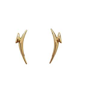 Aretes de Moda BE195-N11-0116WX-G - Product Image 1
