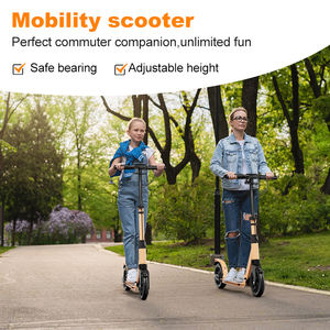 <span class=keywords><strong>Prix</strong></span> de gros <span class=keywords><strong>Freestyle</strong></span> Kick Scooter pour adultes enfants pliable grande roue deux roues pour une utilisation en extérieur livraison directe disponible - Product Image 2