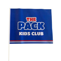 Bâton personnalisé papier PVC drapeau personnalisé petits mini drapeaux à main agitant drapeau avec poteau en plastique