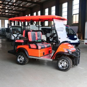 Carrito de Golf de Lujo de 4 Plazas con Batería de 48v/72v, Mini Carrito de Golf con Diseño de Lujo, Se Acepta Personalización - Product Image 6