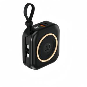 Artículos populares ahora OEM Logo Digital 22,5 W Bancos de energía de carga rápida 10000mAh con cables - Product Image 6