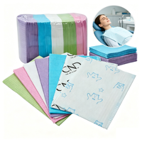Bavette dentaire jetable en papier laminé PE, tablier dentaire imperméable et résistant aux taches pour clinique dentaire, personnalisation disponible