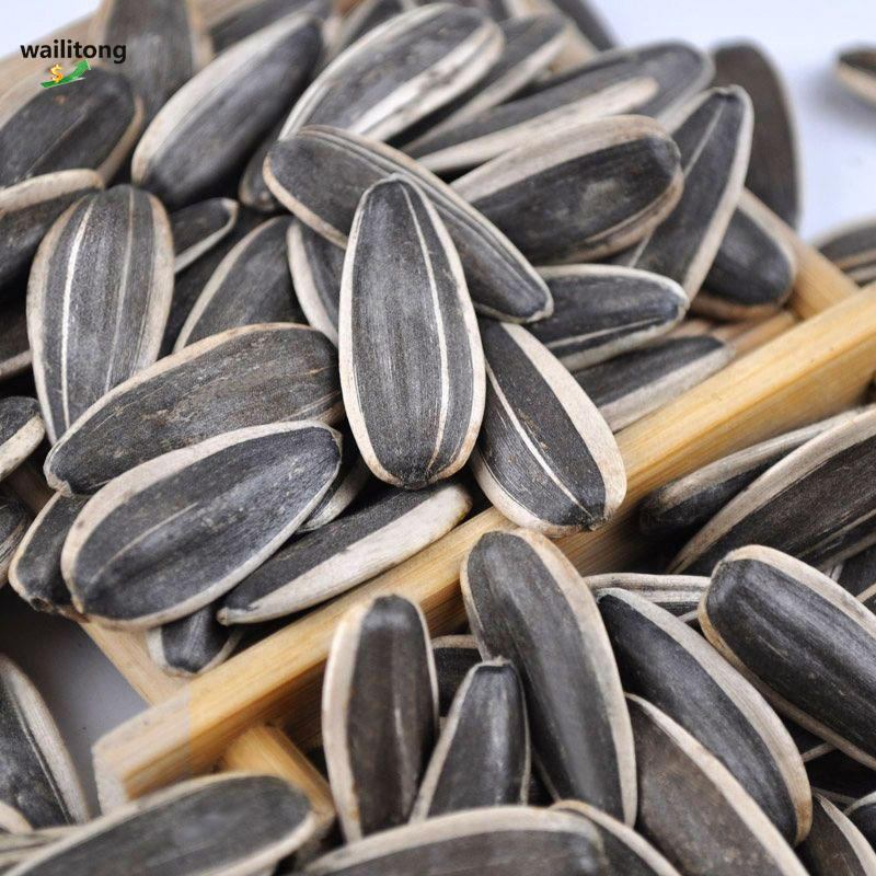 Fast Delivery Best Quality Bird Food White Bulk Sunflower Seeds 361