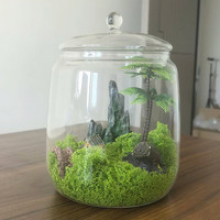 Mini Terrario de vidrio con contenedor de naturaleza DIY con tapa de vidrio para Decoración de mesa de paisaje que sirve como urna o jarrón elegante