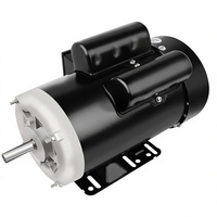 Moteur électrique 5 CV 2800 tr/min monophasé pour usage agricole, cadre 56, 220 V, diamètre d'arbre 5/8 po, 60 Hz, CW/CCW, TEFC, Chine