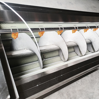 YouBan CE-gecertificeerde automatische borstelrolwasser-schilmachine voor gember, wortelen, wortelgroenten en voedselverwerkingslijnen