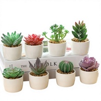 Mini-bonsaï artificiel succulent en pot pour la maison, le bureau ou la décoration commerciale