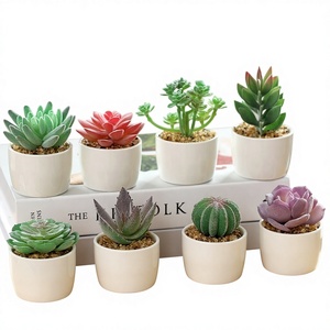 Mini-bonsaï artificiel succulent en pot pour la maison, le <span class=keywords><strong>bureau</strong></span> ou la décoration commerciale - Product Image 2