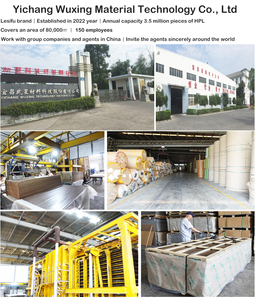 Lesifu hiện đại 900D 12-18mm nhỏ gọn Laminate nhà vệ sinh phân vùng với mật độ fiberboard sinh thái thân thiện và dễ dàng cài đặt - Product Image 6