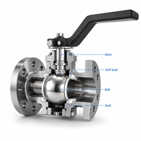 Vanne à boisseau sphérique flottante Q41F CF8M Classe 300 à bride, avec siège en PTFE, pour usage industriel, haute pression