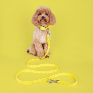 Waterproof PVC Dog <b>Leash</b> <b>Collar</b> Set Fashion Ribbon Decoration Soft Padded Comfortable <b>Pet</b> Walking <b>Leash</b> Adjustable for All Breed - Product Image 6