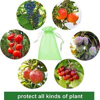 Sacs de protection transparents en organza pour fruits de jardin (raisins, fraises) – Sacs en maille anti-parasites et anti-oiseaux avec cordon de serrage