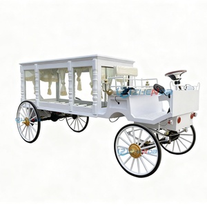 Cercueil funéraire de luxe américain Zhenda, blanc, en acier et cuir, avec colonne romaine électrique, transport spécial, Henan - Product Image 2