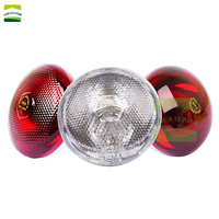 Lampe chauffante infrarouge rouge transparente de 250 W pour poussins et volailles, idéale pour l'élevage en ferme